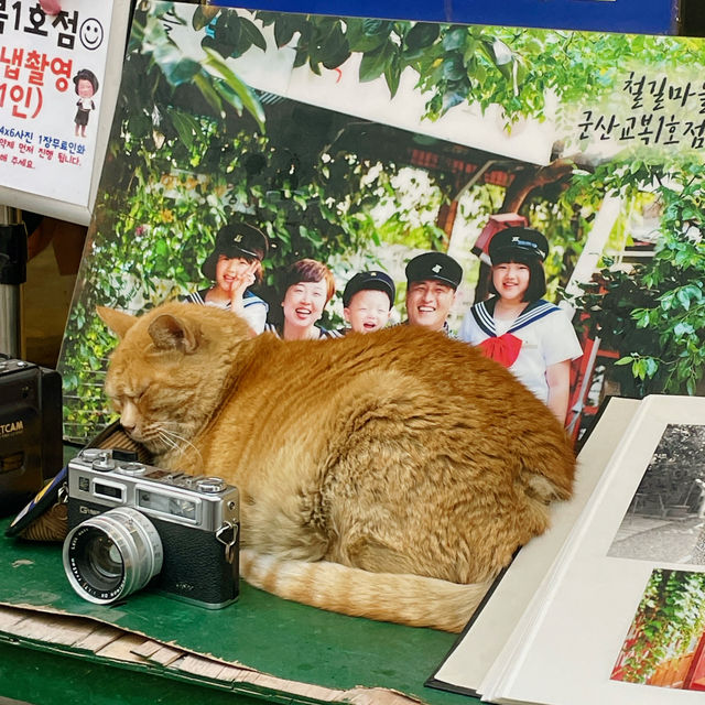군산여행 가볼 만한 곳, “경암동 철길마을”