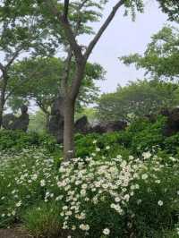 Step Into a Storybook at Songdang Fairytale Village