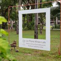 🌴 Flora Khao Lak - โปรแรงแห่งปี