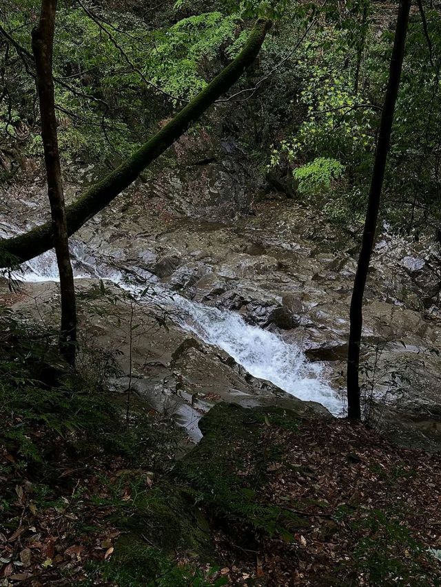 Mini Hike, Major Vibes