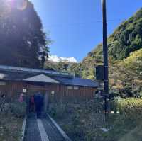 【岩湧山でススキ三昧】 🌾　大阪