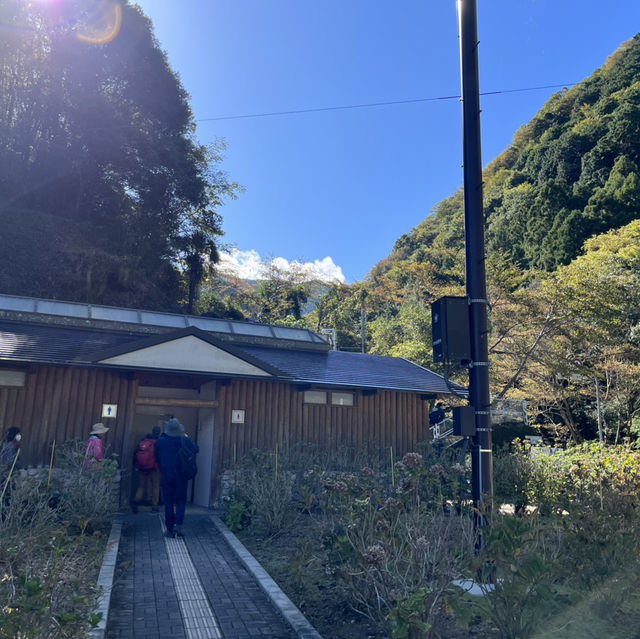 【岩湧山でススキ三昧】 🌾　大阪