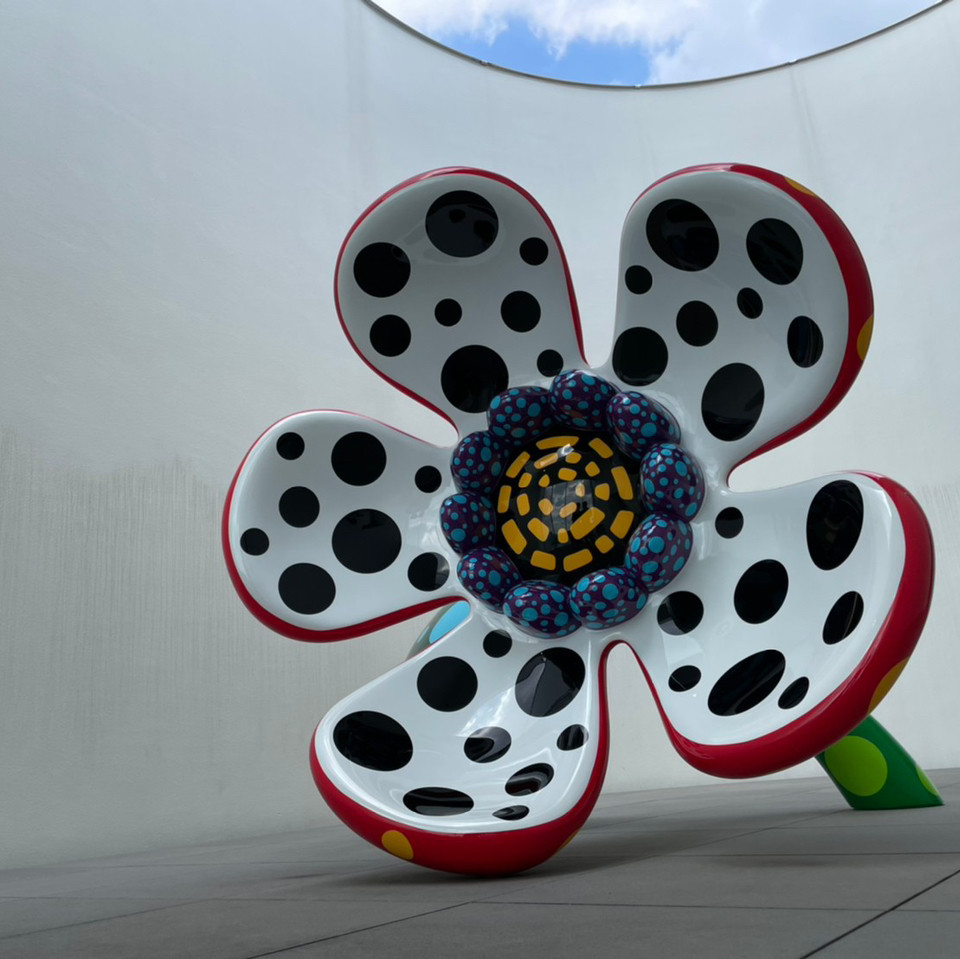 ドットは向日葵のアートが圧巻🫣🌻草間彌生の世界観が広がる美術館
