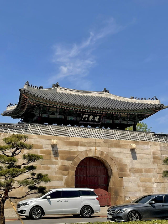 연인과 함께한, 잊지 못할 야외 데이트 🌿
