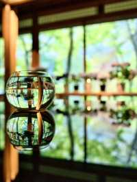 【雨でも楽しめる室内絶景】「水鏡」の絶景に息をのむ🌿💧✨※周辺観光情報付
