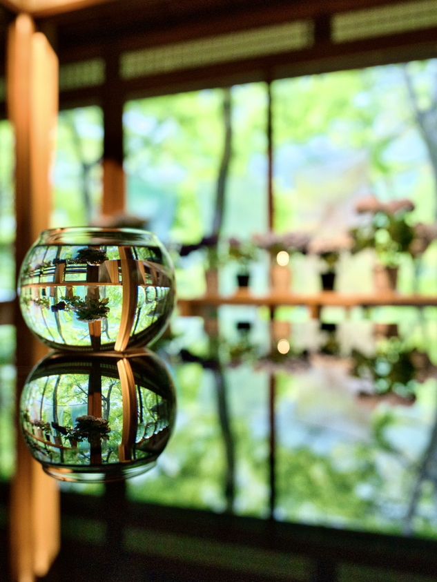 【雨でも楽しめる室内絶景】「水鏡」の絶景に息をのむ🌿💧✨※周辺観光情報付