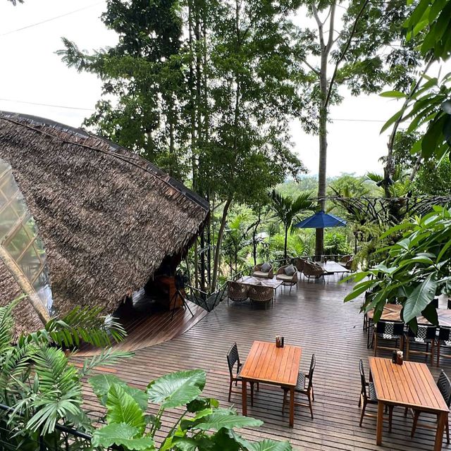 Three Monkeys Villas Three Monkeys Villas