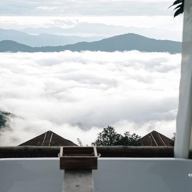 🏔️ เมืองสายหมอก @จูเลี้ยะแคมป์ ม่อนเงาะ