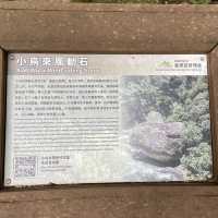 桃園一日輕旅行｜小烏來天空步道＆森林瀑布散步路線 🌲💧