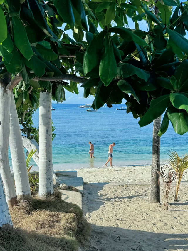 🇵🇭 Island-Hopping Adventure in the Philippines: 3 Islands, 1 Epic Journey