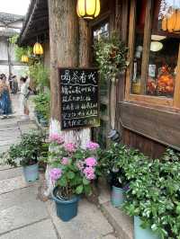 Worth a visit to Wuzhen
