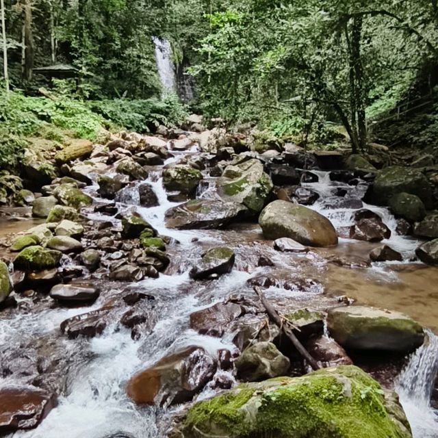 Breath deeply and connect with nature.