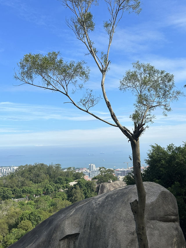 廈門園林植物園太美了
