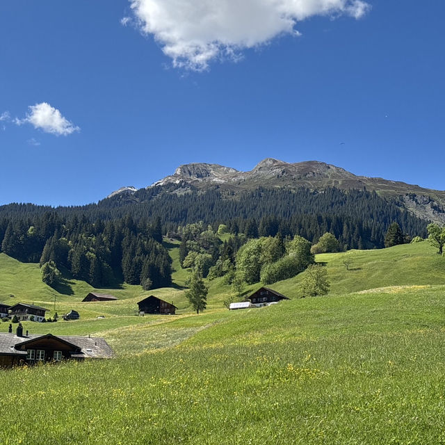 🇨🇭✨ สวิตเซอร์แลนด์ – ดินแดนในฝันที่มีอยู่จริง 🏔️