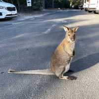 Freycinet National Park – TAS