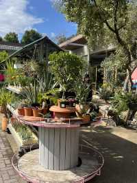 💐【青山 ALL GOOD FLOWERS】旅の途中に出会った、花の呼吸 