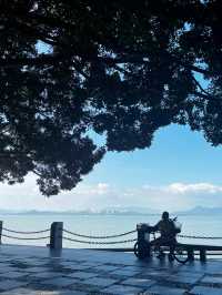 Coastal Breeze and City Dreams 