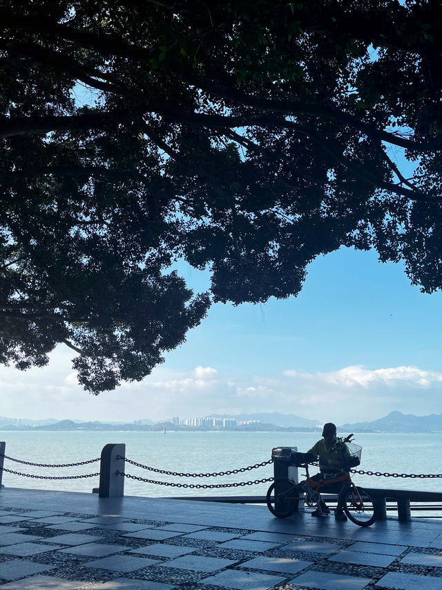 Coastal Breeze and City Dreams 