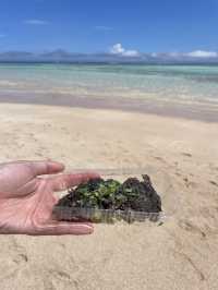 【心までほどけるブルー】与論島・大金久海岸で感じた、ただ在ることの豊かさ 