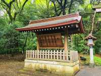 Meiji Shrine & Yoyogi Park – Tokyo’s Tranquil Core