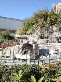🐧【池袋 サンシャイン水族館】空に浮かぶ水族館で、日常をふわっと離れて。 
