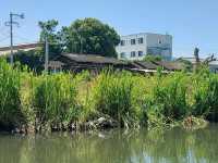 Sail along Yanagawa