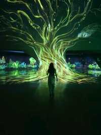 上海必逛city walk