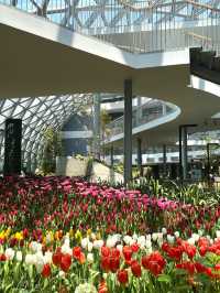 cafe Amazon 4255FLORA EXHIBITION HALL 