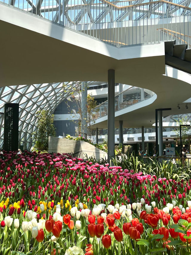 cafe Amazon 4255FLORA EXHIBITION HALL 