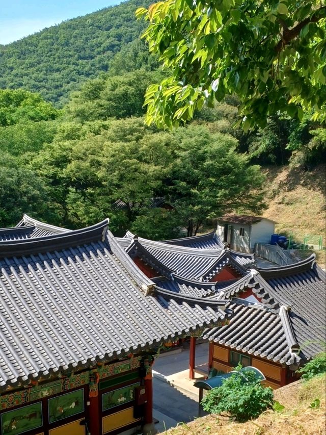 숲속 작은 여행지, 장춘사에서 느린 하루를🍃