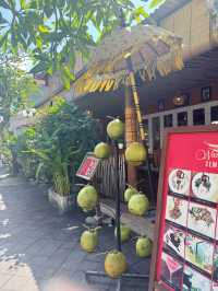 BALI🌴