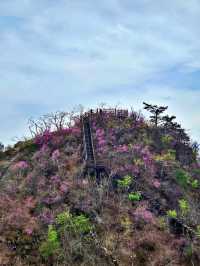 A Hidden Gem in Hongcheon