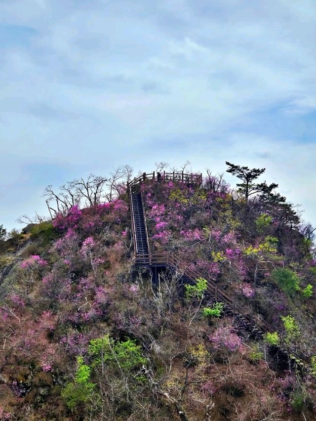 A Hidden Gem in Hongcheon