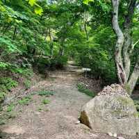 Hidden Gem Alert, Hwangaksan