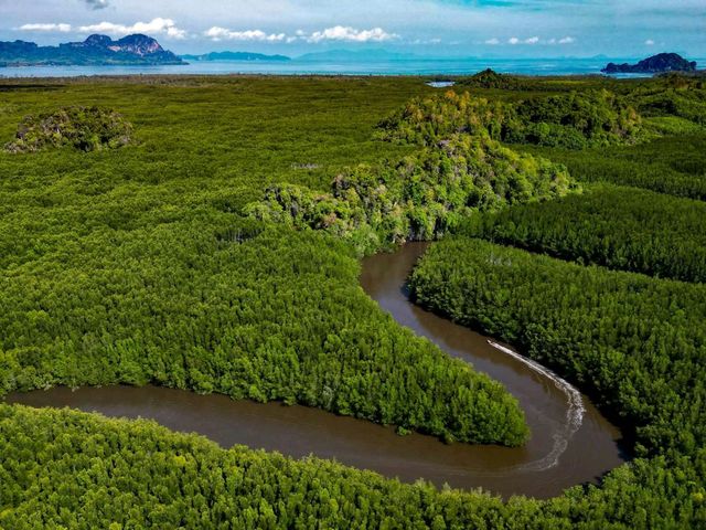 🌿 เขาจมป่า บ้านน้ำราบ จ.ตรัง 🌿
