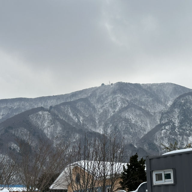 ️  ❄겨울 울릉도: 설경 속 신비로움, 새로운 매력을 만나다! ✨