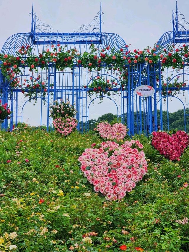 【ソウル🇰🇷ポラメ公園】ソウル国際庭園博覧会🌼
