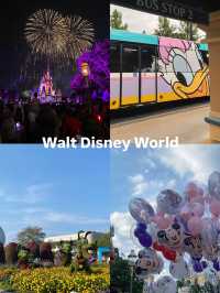 🏰 Walt Disney World – ที่ที่ความฝันกลายเป็นจริง 🌟