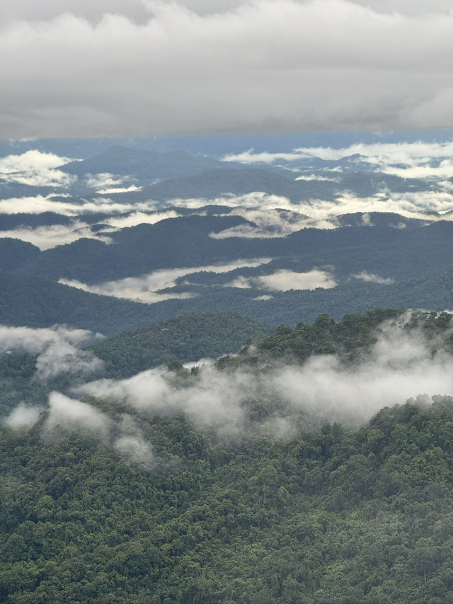 ดอยปุย-ดอยสุเทพ จ.เชียงใหม่ ⛰️🌳🌧️🌫️
