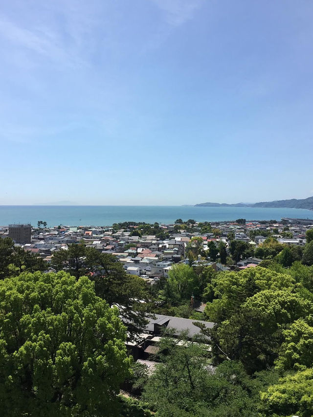 🏯戦国ロマンと絶景が交差する「小田原城」で歴史旅を満喫