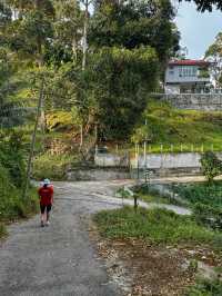 Hiking to Penang’s Hidden Glass House — With a Durian Surprise 