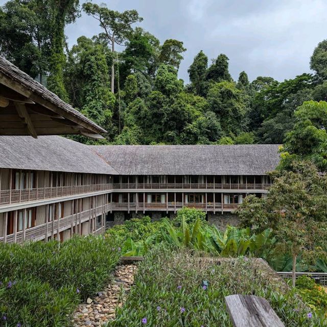 Datai Canopy Suite