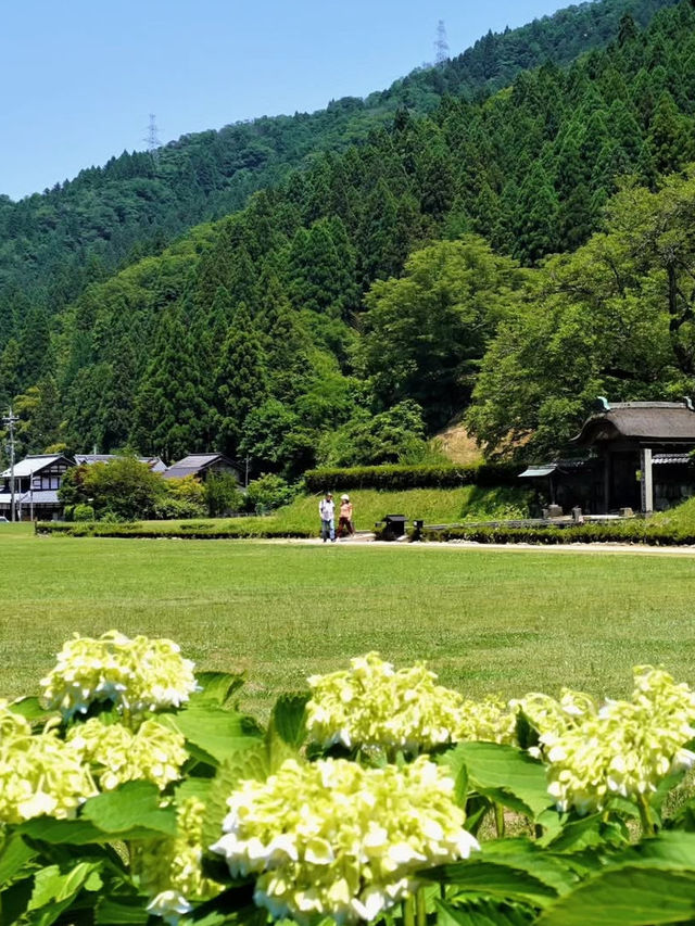 【足羽山公園で四季を感じる癒し旅】福井市街の緑のオアシス🌸🍁🌳