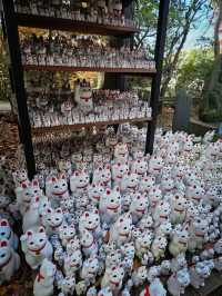 Gotokuji Temple วัดแมวกวัก