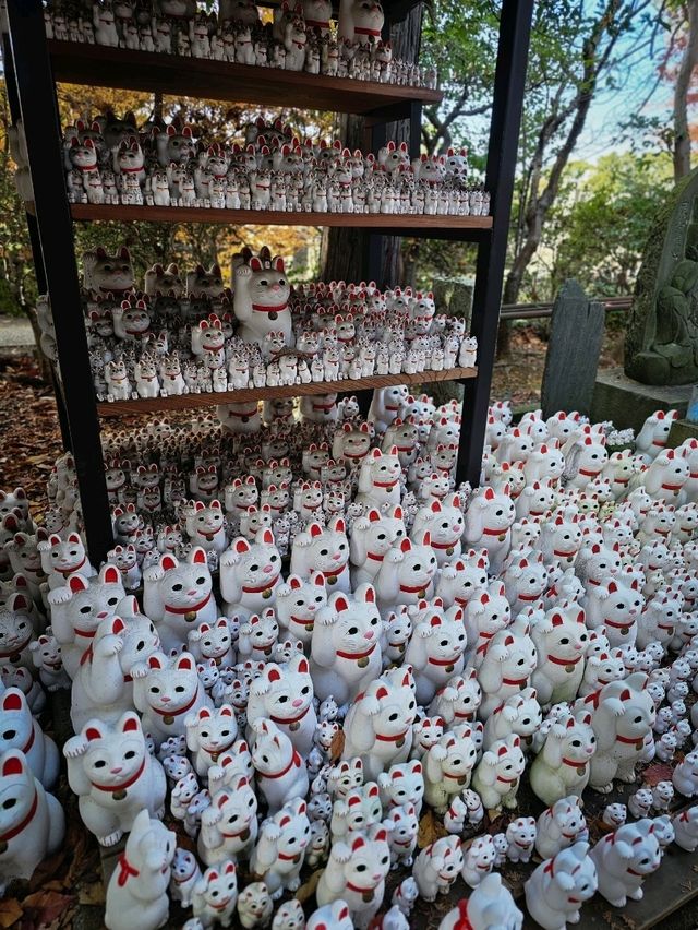 Gotokuji Temple วัดแมวกวัก