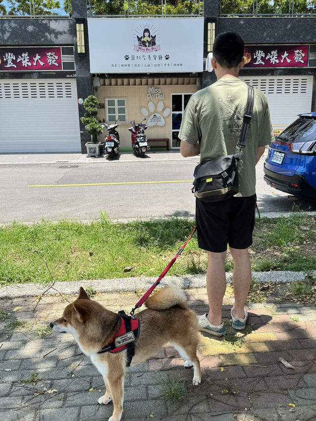 🐾《旅人的高雄毛孩手札》