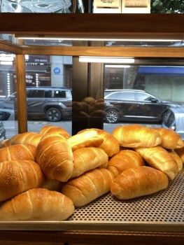 🥐 은평 베이커리카페 후기 🍞