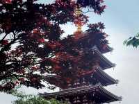 東京必去景點！最古老寺廟～淺草寺