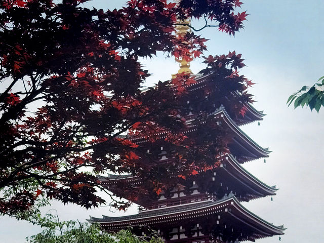 東京必去景點！最古老寺廟～淺草寺