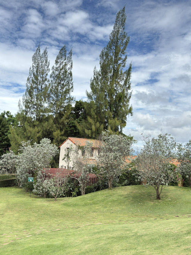 ทอสคาน่า Toscana